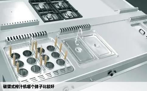 破壁式榨汁机哪个牌子比较好