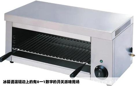 冰箱调温钮边上的有0一1数字的开关派啥用场