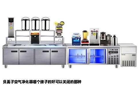 负离子空气净化器哪个牌子的好可以关闭的那种