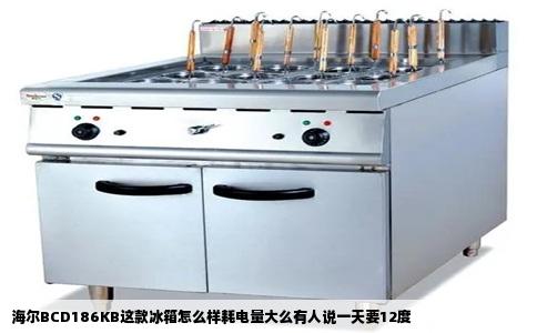 海尔BCD186KB这款冰箱怎么样耗电量大么有人说一天要12度