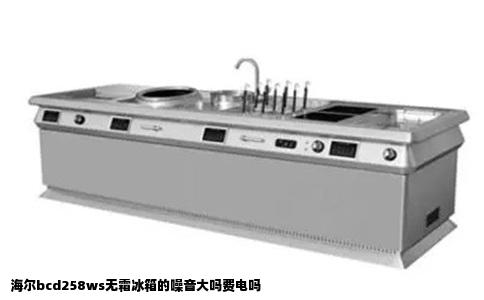 海尔bcd258ws无霜冰箱的噪音大吗费电吗