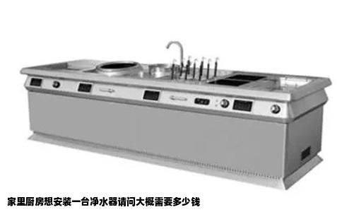 家里厨房想安装一台净水器请问大概需要多少钱