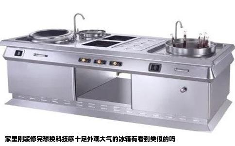 家里刚装修完想换科技感十足外观大气的冰箱有看到类似的吗