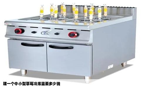 建一个中小型草莓冷库需要多少钱