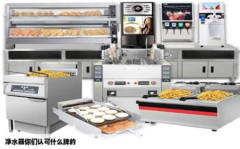 净水器你们认可什么牌的