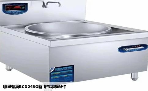 哪里有卖BCD243G新飞电冰箱配件
