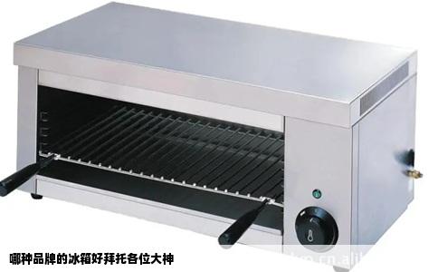 哪种品牌的冰箱好拜托各位大神