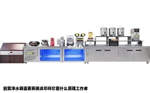 前置净水器需要更换滤芯吗它靠什么原理工作者