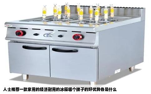 人士推荐一款家用的经济耐用的冰箱哪个牌子的好优势各是什么