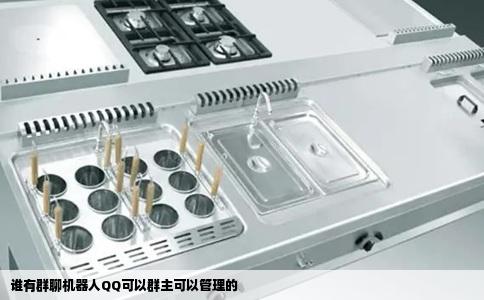谁有群聊机器人QQ可以群主可以管理的
