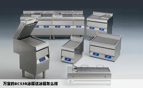万宝的BC53R冰箱这冰箱怎么样