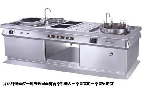 我小时候看过一部电影里面有两个机器人一个是女的一个是男的女