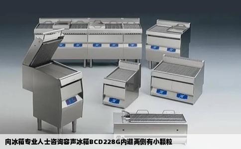 向冰箱专业人士咨询容声冰箱BCD228G内避两侧有小颗粒