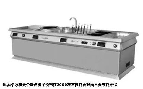 想卖个冰箱要个好点牌子价格在2000左右性能要好而且要节能环保