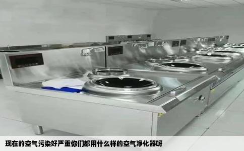 现在的空气污染好严重你们都用什么样的空气净化器呀