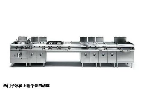 西门子冰箱上哪个是自动键