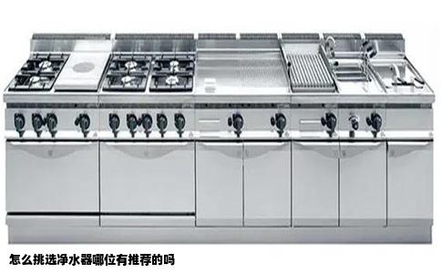 怎么挑选净水器哪位有推荐的吗