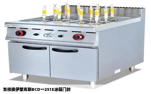 怎样换伊莱克斯BCD一251E冰箱门封