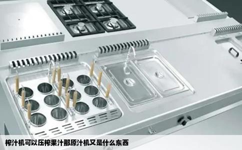 榨汁机可以压榨果汁那原汁机又是什么东西